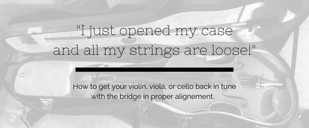 “All My Strings are Loose!” – AD Bows, LLC